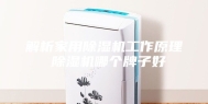 解析家用除湿机工作原理 除湿机哪个牌子好