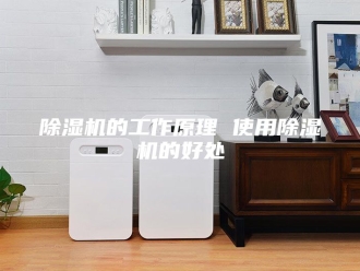 企业新闻除湿机的工作原理 使用除湿机的好处