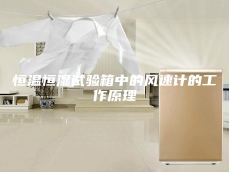 常见问题恒温恒湿试验箱中的风速计的工作原理
