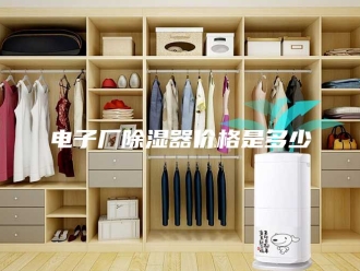 知识百科电子厂除湿器价格是多少