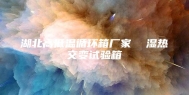 湖北高低温循环箱厂家  湿热交变试验箱