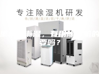 行业新闻家里太过潮湿，有用除湿机的必要吗？