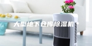大型地下仓库除湿机＊
