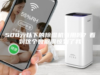 常见问题500元以下的除湿机有用吗？看到这个数据震惊到了我