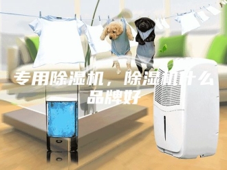 常见问题专用除湿机，除湿机什么品牌好