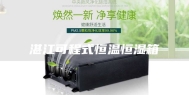 湛江可程式恒温恒湿箱