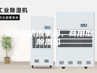 企业新闻安诗曼供应家用、商用型除湿机