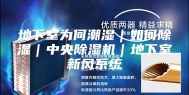 地下室为何潮湿｜如何除湿｜中央除湿机｜地下室新风系统