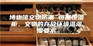 博物馆文物防潮 恒温恒湿柜，文物的存放环境温湿度要求