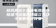 鼓风高温干燥箱电热烘箱除湿干燥热风烘箱立式烘干机苏州安诗曼