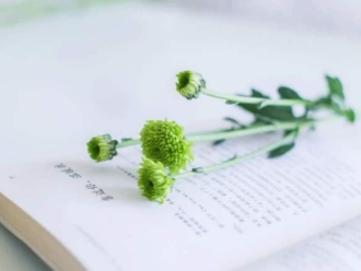 行业新闻梅雨天不要让身体和心情发霉