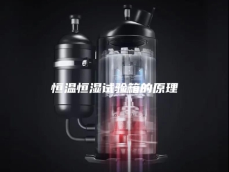 常见问题恒温恒湿试验箱的原理