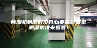 除湿机到底有没有必要买？家里潮湿的进来看看！
