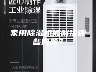 行业新闻家用除湿机能解决哪些问题？