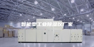 智能型工业除湿仪厂家