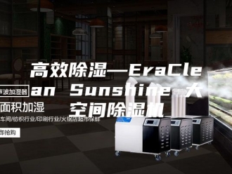 企业新闻高效除湿—EraClean Sunshine 大空间除湿机