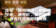 住宅“新风除湿”的前世今生，拥有它，你也能享受古代王室般的待遇