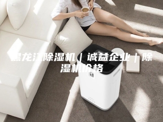 企业新闻黑龙江除湿机｜诚益企业｜除湿机价格