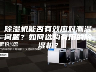 企业新闻除湿机能否有效应对潮湿问题？如何选购有用的除湿机？