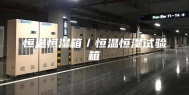 恒温恒湿箱／恒温恒湿试验箱