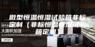 微型恒温恒湿试验箱非标定制（非标恒温恒湿试验箱定制）