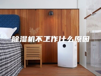 企业新闻除湿机不工作什么原因