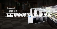 工厂用的除湿机在哪里买