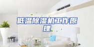 低温除湿机工作原理