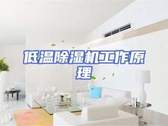 企业新闻低温除湿机工作原理