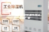 泉州市可程式恒温恒湿试验箱厂家