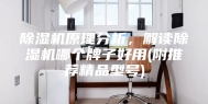 除湿机原理分析，解读除湿机哪个牌子好用(附推荐精品型号)