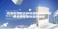 恒温恒湿柜定制恒温恒湿保存柜博物馆恒温恒湿存储柜