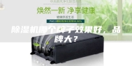 除湿机哪个牌子效果好，品牌大？