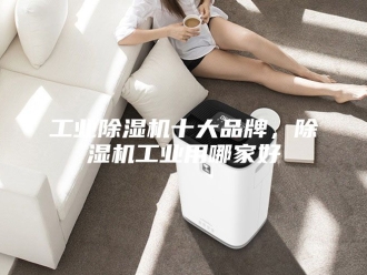 行业新闻工业除湿机十大品牌，除湿机工业用哪家好