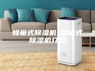 企业新闻蜂巢式除湿机_蜂巢式除湿机介绍