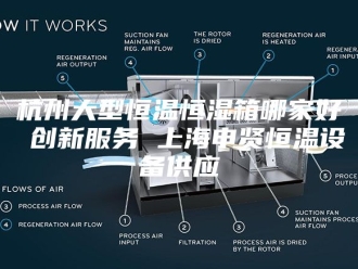 常见问题杭州大型恒温恒湿箱哪家好 创新服务 上海申贤恒温设备供应