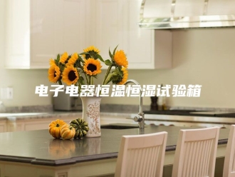 常见问题电子电器恒温恒湿试验箱