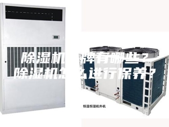 企业新闻除湿机品牌有哪些？除湿机怎么进行保养？
