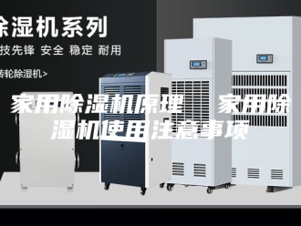 行业新闻家用除湿机原理  家用除湿机使用注意事项