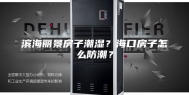 滨海丽景房子潮湿？海口房子怎么防潮？