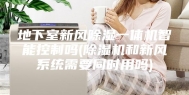 地下室新风除湿一体机智能控制吗(除湿机和新风系统需要同时用吗)