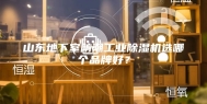 山东地下室防潮工业除湿机选哪个品牌好？