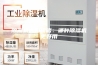 除湿机选购攻略：哪种除湿机更好用