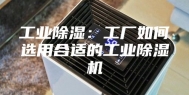工业除湿：工厂如何选用合适的工业除湿机