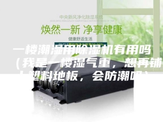 常见问题一楼潮湿用除湿机有用吗（我是一楼湿气重，想再铺上塑料地板，会防潮吗）