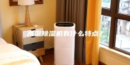 高温除湿机有什么特点？