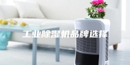工业除湿机品牌选择