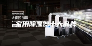 家用除湿器十大品牌
