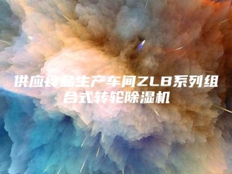 常见问题供应食品生产车间ZLB系列组合式转轮除湿机