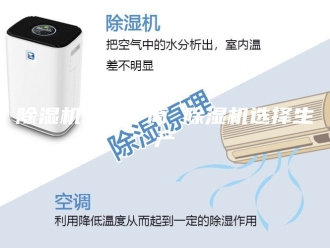 企业新闻除湿机生产厂商 除湿机选择生产